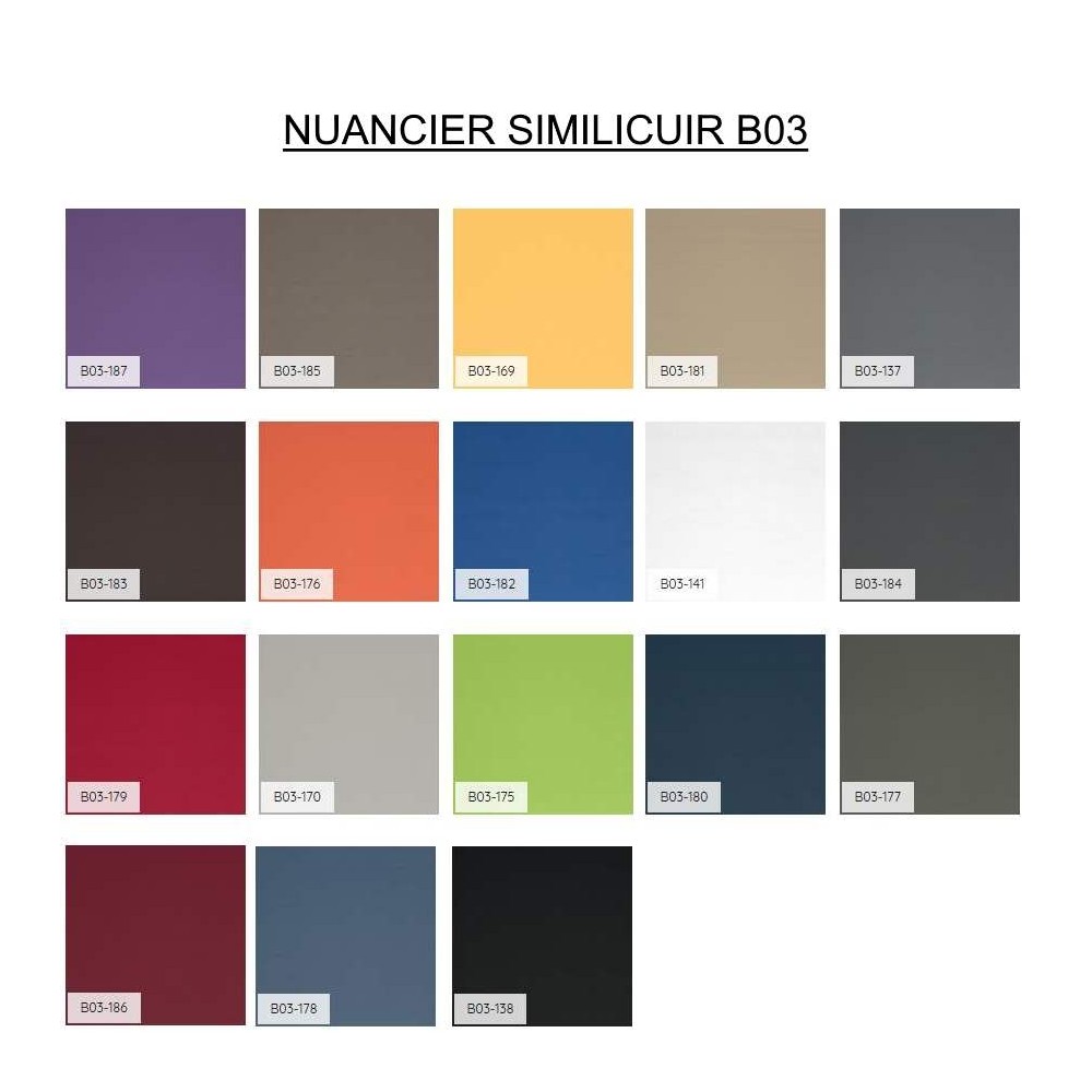 Nuancier similicuir