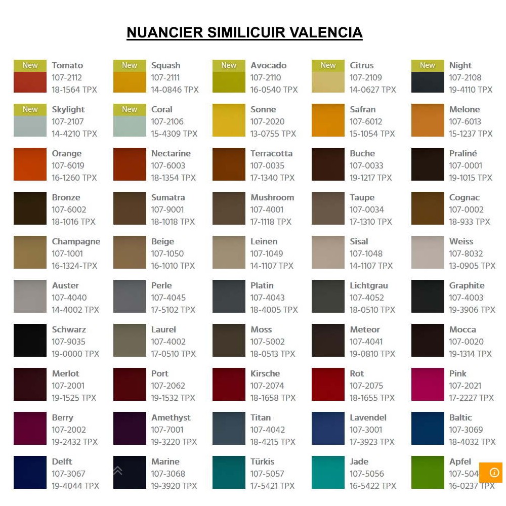 Nuancier similicuir VALENCIA