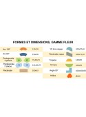 Table Maternelle FLEUR