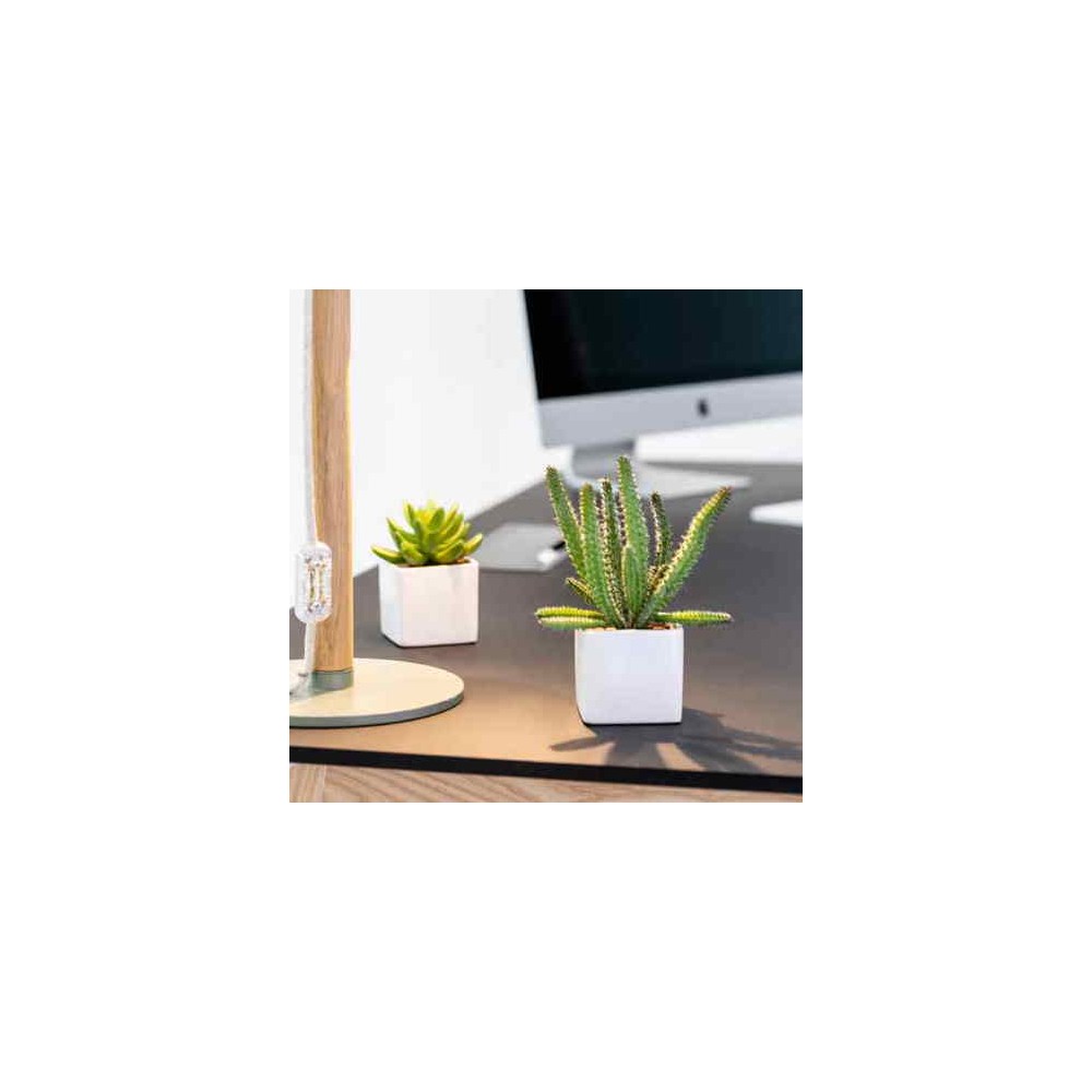 Les 9 Petits cubes, pots blancs. Hauteur 14 cm