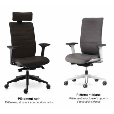 Fauteuil cuir WI-MAX