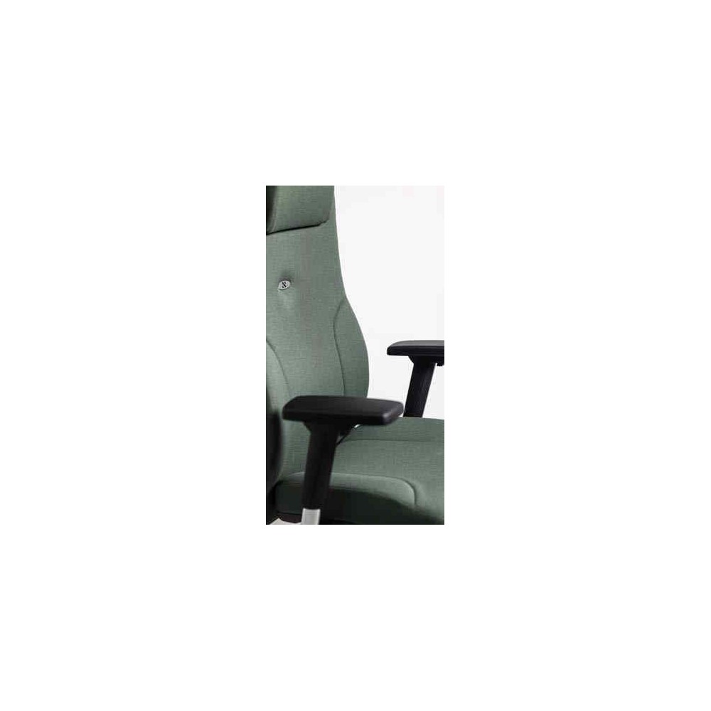 Fauteuil ergonomique LEADER-NEST, accoudoirs 4F
